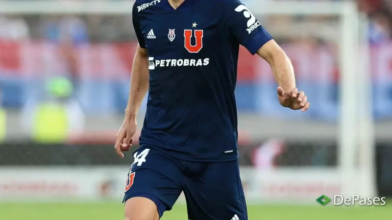 Luis del Pino Mago