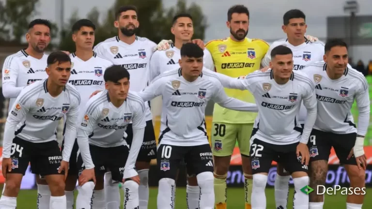 Formación Colo-Colo