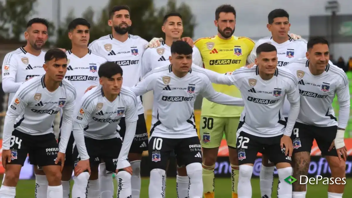 Formación Colo-Colo