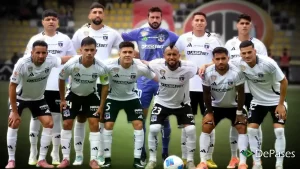 Formación Colo-Colo