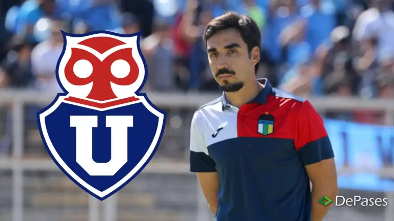 Francisco Meneghini Universidad de Chile