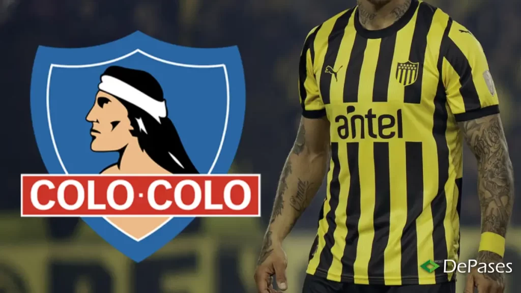 Javier Méndez Colo-Colo