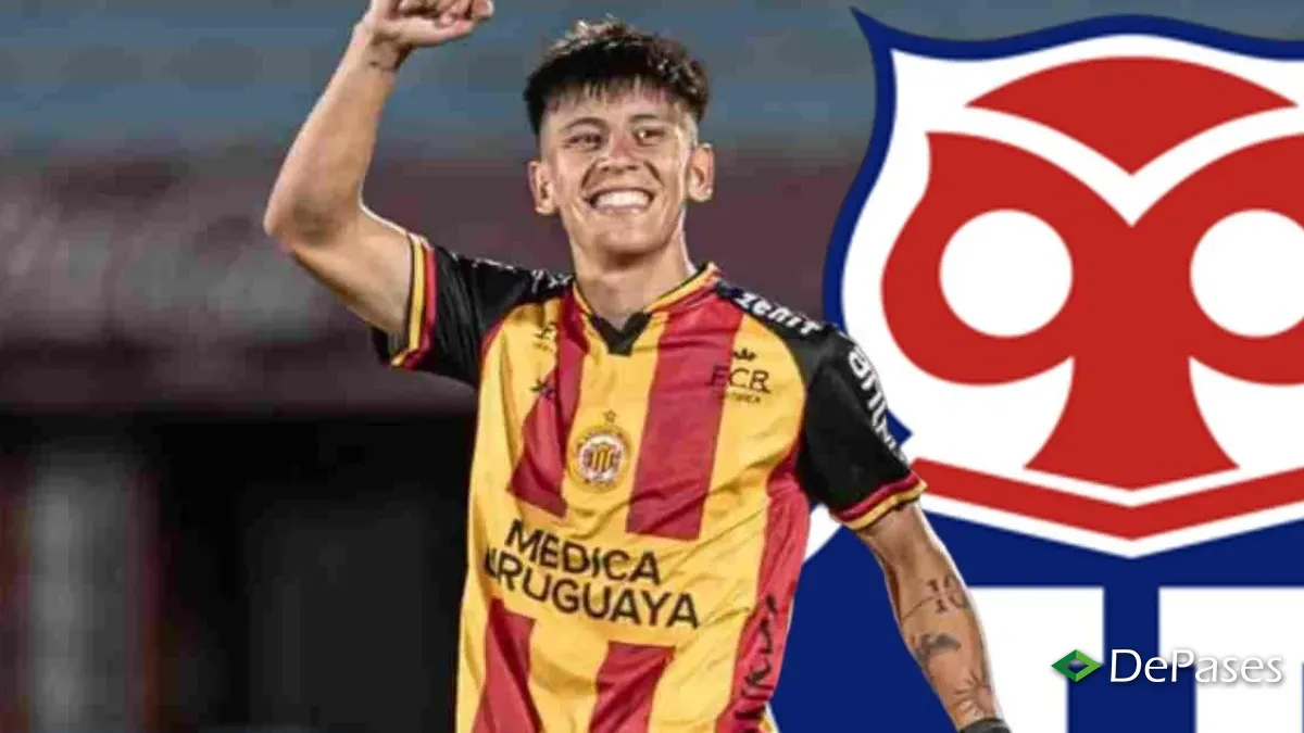 Nicolás Fernández Universidad de Chile