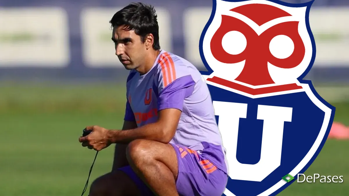 Francisco Meneghini Universidad de Chile