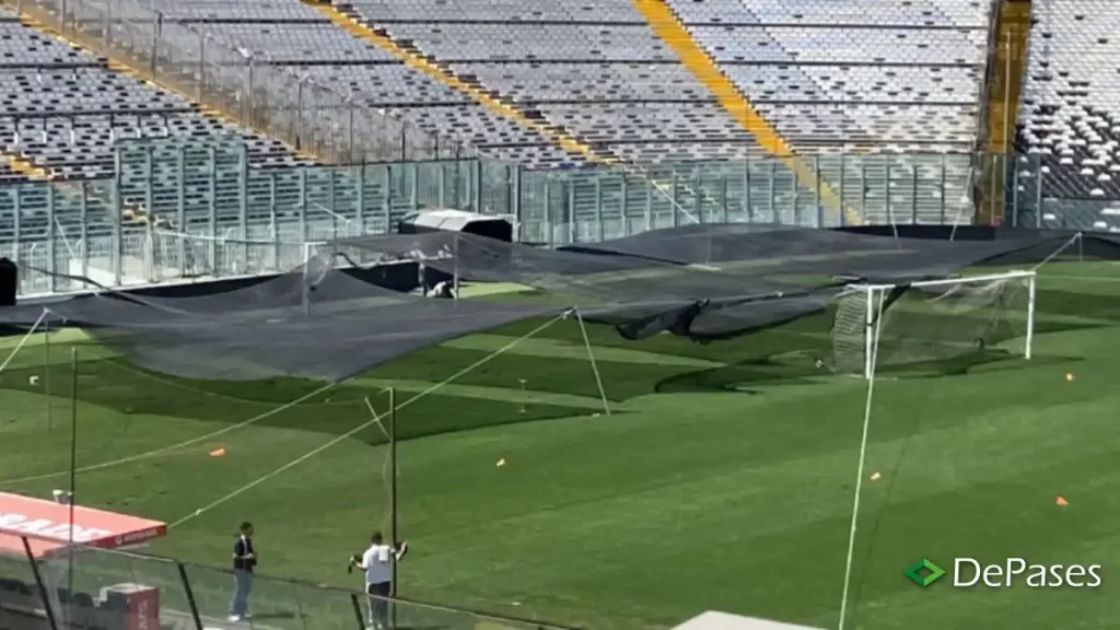 Césped Estadio Monumental Colo-Colo