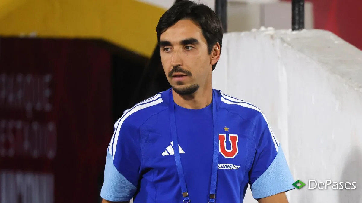 Francisco Meneghini Universidad de Chile