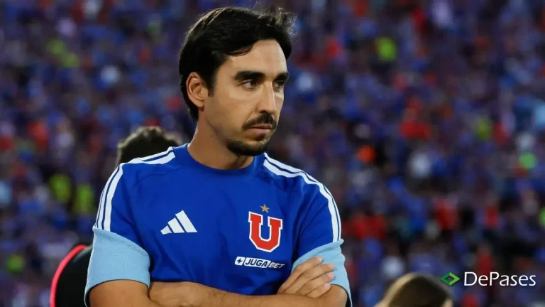 Francisco Meneghini Universidad de Chile