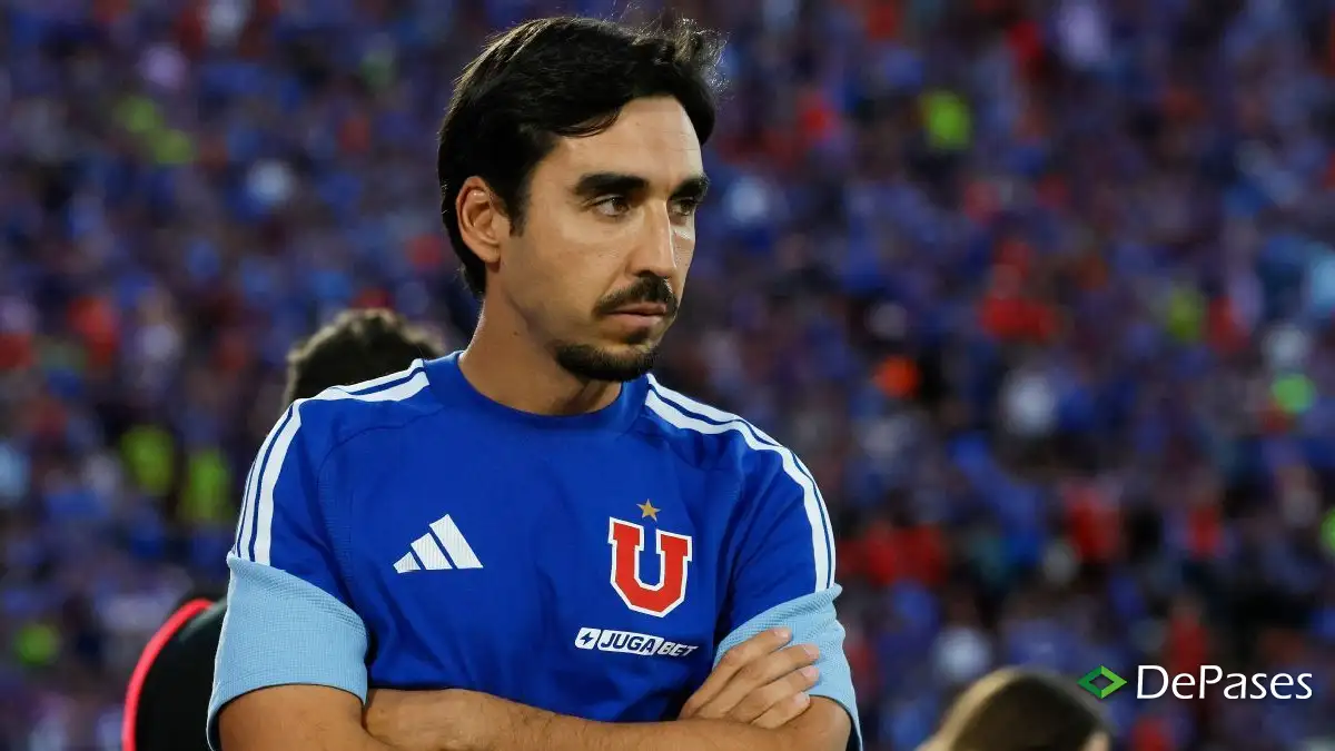 Francisco Meneghini Universidad de Chile