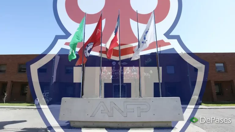 AFNP Universidad de Chile