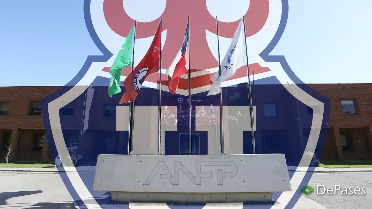 AFNP Universidad de Chile