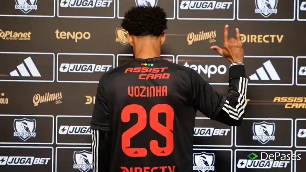 Vozinha Colo-Colo
